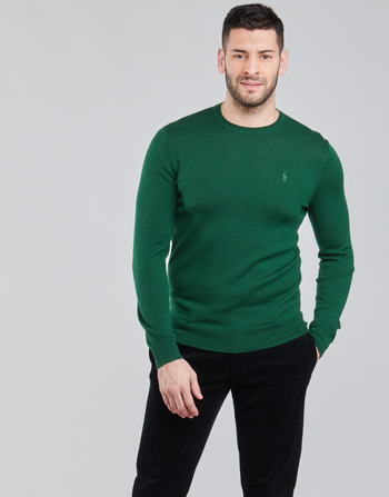 Vêtements Homme Pulls Polo Ralph Lauren AMIRAL Vert