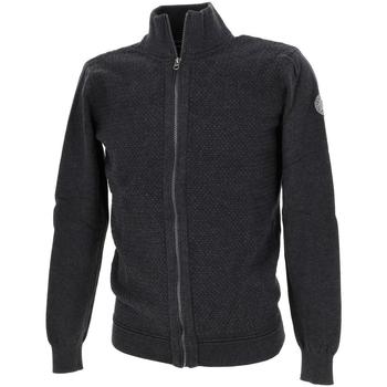Vêtements Homme Pulls Sun Valley Atwiss ant fz pull Gris