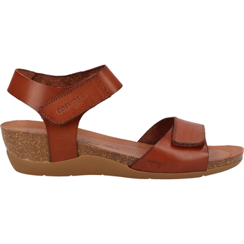 Chaussures Femme Sandales et Nu-pieds Cosmos Comfort 6134-803 Sandales Marron