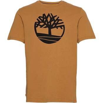 Vêtements Homme T-shirts manches courtes Timberland 227485 Jaune