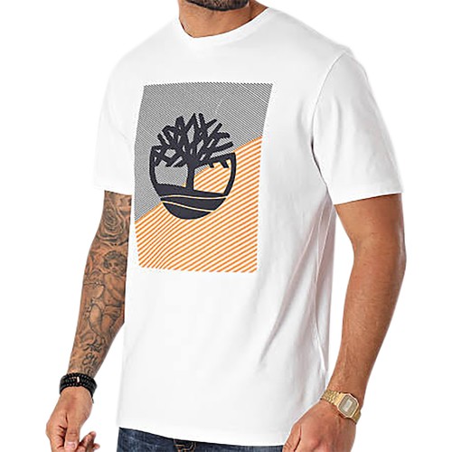 Vêtements Homme T-shirts manches courtes Timberland Tee-Shirt Graphic Blanc