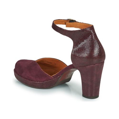 Chaussures Femme Escarpins Femme | Chie Mihara JO-MAHO - IP74964
