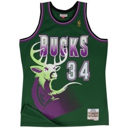 Vêtements T-shirts manches courtes Mitchell And Ness Maillot NBA Ray Allen Millwauk Multicolore