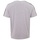 Vêtements Homme T-shirts & Polos Kappa Ilyas T-Shirt Gris