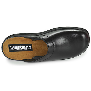 Westland METZ 260 Noir