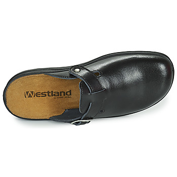 Westland METZ 265 Noir