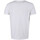 Vêtements Homme T-shirts & Polos Redskins T-shirt FEATHER SLUBB Blanc