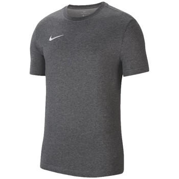 Vêtements Homme T-shirts manches courtes Nike Dri-Fit Park 20 Tee Gris