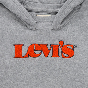 Levi's GRAPHIC PULLOVER HOODIE Gris