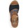 Chaussures Femme Sandales et Nu-pieds Rieker NIAGARA Multicolore