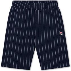 Vêtements Homme Shorts / Bermudas Fila 688554 Bleu