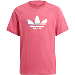 Vêtements Enfant T-shirts manches courtes adidas Originals GN7436 Rose