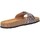 Chaussures Fille Sandales et Nu-pieds Plakton 130001 Multicolore