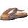 Chaussures Fille Sandales et Nu-pieds Plakton 131671 Multicolore