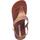 Chaussures Femme Sandales et Nu-pieds Ipanema 83073 Caiman Sandal Brown Marron