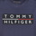 Vêtements Garçon T-shirts manches courtes Tommy Hilfiger TERRAD Marine