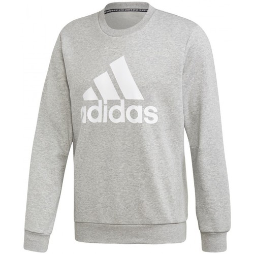 Vêtements Homme Sweats adidas Originals the truth about adidas sneakers for boys girls Gris