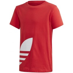 Vêtements Garçon T-shirts manches courtes adidas Originals Big Trefoil Tee Rouge