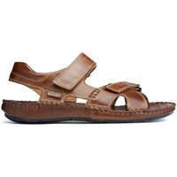 Chaussures Homme Sandales et Nu-pieds Pikolinos SANDALES  TARIFA 06J-5818XL Marron
