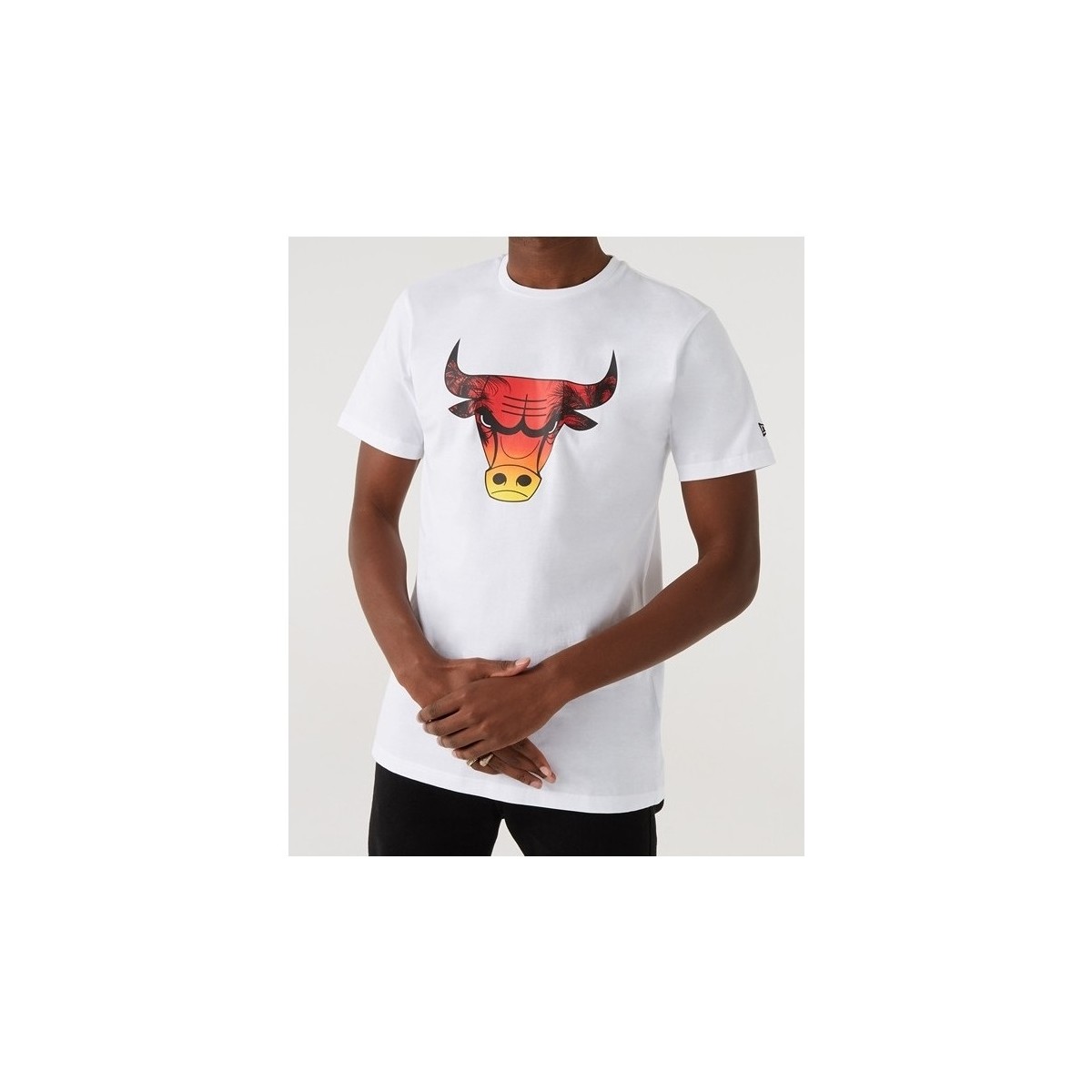 Vêtements Homme T-shirts manches courtes New-Era - T-shirt NBA Summer City - Chicago Bulls Blanc