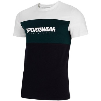 Vêtements Homme T-shirts manches courtes 4F TSM016 Noir, Blanc