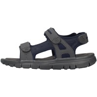Chaussures Homme Sandales et Nu-pieds Skechers 51874 Bleu