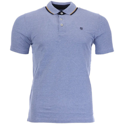 Vêtements Homme T-shirts & Polos Jack & Jones 12175007 Bleu