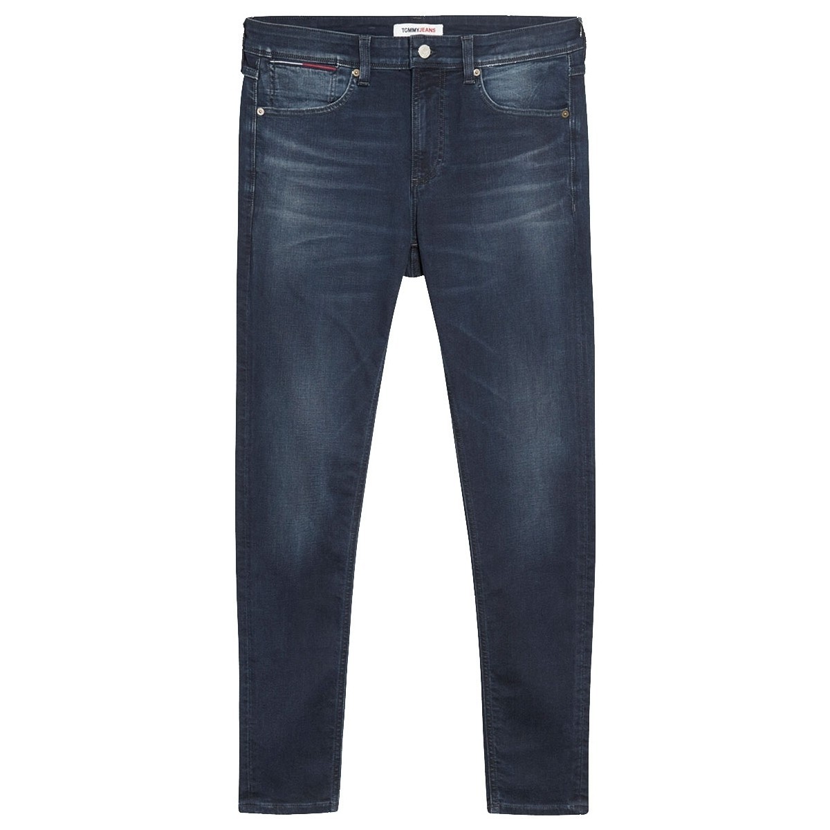 Vêtements Homme Jeans Tommy Jeans Jean  ref 52000 1BZ Multi Bleu