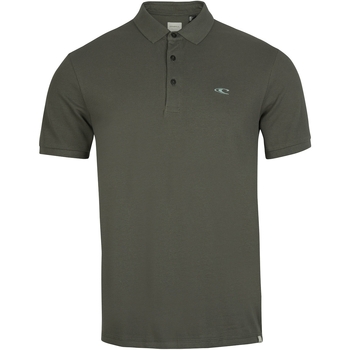 Vêtements Homme Polos manches courtes O'neill Triple Stack Polo Vert