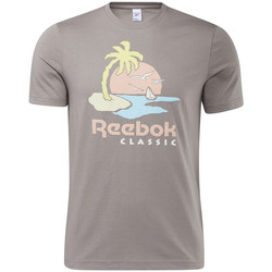 Vêtements Homme T-shirts manches courtes Reebok Sport Tee-shirt Gris