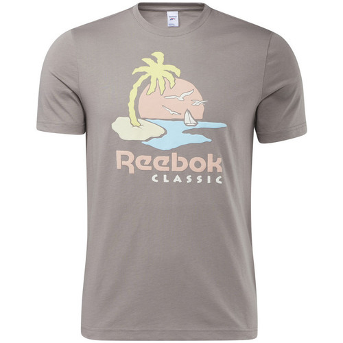 Vêtements Homme Reebok Reebok Identity Camo Big Logo Crew Sweatshirt Mens Reebok Sport CLASSICS Gris