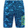 Vêtements Homme Shorts / Bermudas Emporio Armani photo print sweatshirtni Short Bleu
