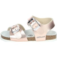 Chaussures Fille Sandales et Nu-pieds Grunland SB0392-40 Poudre rose