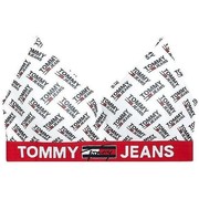 Tommy Jeans Denton Leather 3.5 Ανδρική Ζώνη