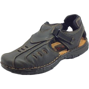 Chaussures Homme Sandales et Nu-pieds Zen 274253 TMoro Marron