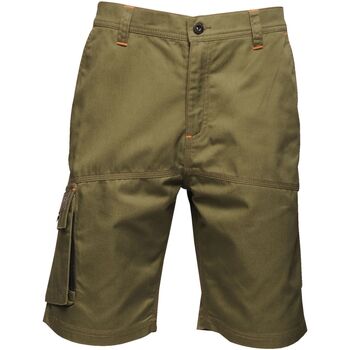 Vêtements Homme Shorts / Bermudas Regatta RG4527 Multicolore