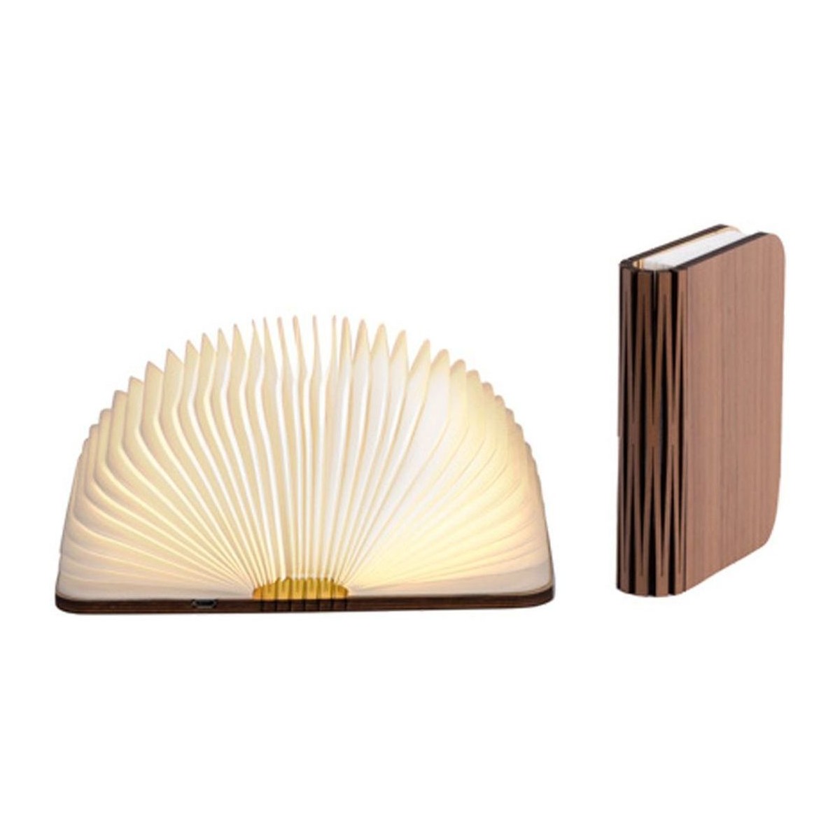 Maison & Déco Lampes à poser Ledr Lampe en forme de livre en bois véritable Noyer - Taille L Marron
