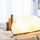 Maison & Déco Lampes à poser Ledr Lampe livre en bois couleur Erable - Taille S Beige