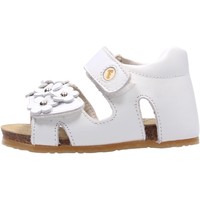Chaussures Enfant Chaussures aquatiques Falcotto - Sandalo bianco SABISA-0N01 Blanc