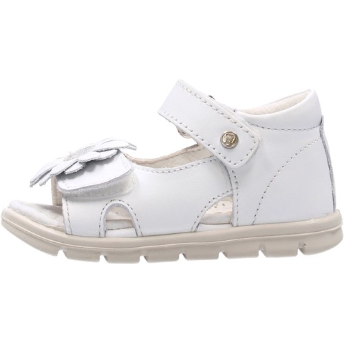 Chaussures Enfant Chaussures aquatiques Falcotto BEIA-0N01 Blanc