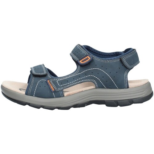 Chaussures Homme Sandales et Nu-pieds Valleverde 54802 Bleu
