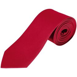 Vêtements Cravates et accessoires Sols GARNER Rojo Rojo