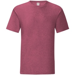 Vêtements Homme T-shirts manches courtes Les Guides de JmksportShops 61430 Bordeaux chiné