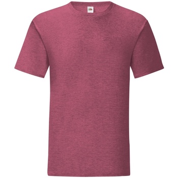Vêtements Homme T-shirts manches courtes Fruit Of The Loom 61430 Bordeaux chiné