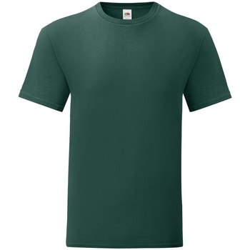 Vêtements Homme T-shirts manches courtes Fruit Of The Loom 61430 Vert foncé