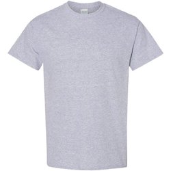 Vêtements Homme T-shirts manches courtes Gildan 5000 Gris