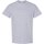 Vêtements Homme T-shirts dekoltem manches courtes Gildan 5000 Gris