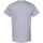 Vêtements Homme T-shirts dekoltem manches courtes Gildan 5000 Gris