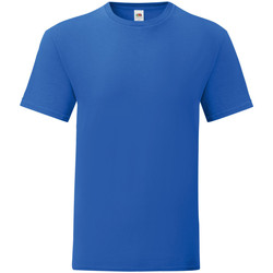 Vêtements Homme T-shirts manches courtes Fruit Of The Loom 61430 Bleu roi