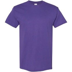 Vêtements Homme T-shirts manches courtes Gildan 5000 Lilas